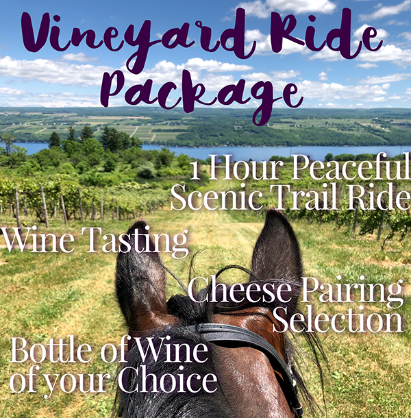 Vineyard Trail Ride Package